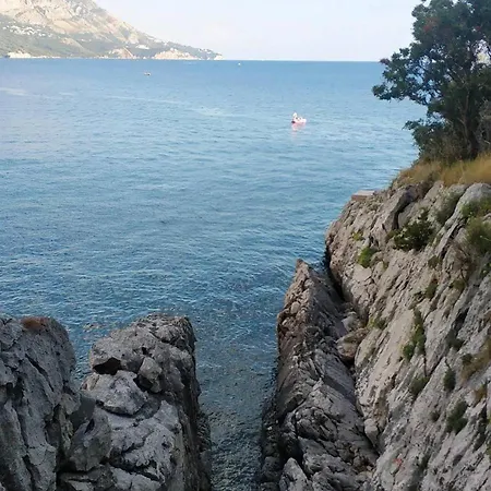 Tulip Of Becici Apartament Budva